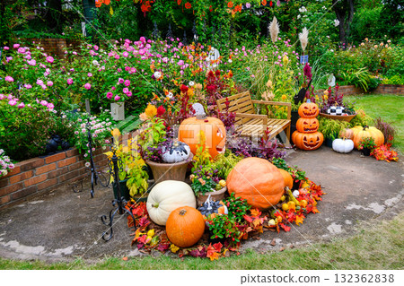 東京練馬區四季之家玫瑰園 - 秋季玫瑰季節 東京練馬區四季之家玫瑰園 - 秋季玫瑰季節 132362838