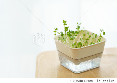 注意:蘿蔔蘿蔔 注意:蘿蔔蘿蔔 132363146