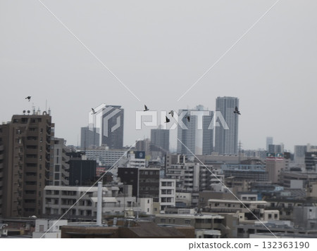 多雲的城市景觀，摩天大樓和飛鳥 132363190