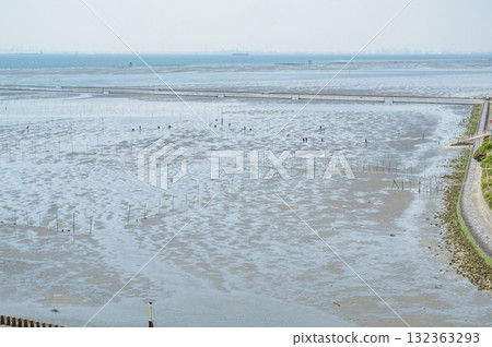 Chiba Kisarazu Beach Clam Digging Area (from Nakanoshima Bridge) 132363293