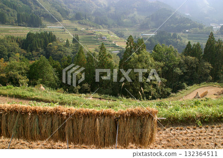 高千穗的水稻梯田/左右地區 高千穗的水稻梯田/左右地區 132364511