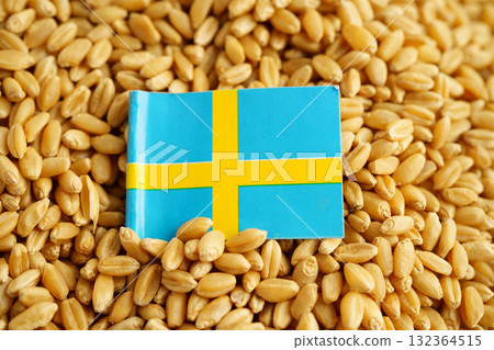 Sweden flag on grain wheat, trade export and economy concept. Sweden flag on grain wheat, trade export and economy concept. 132364515