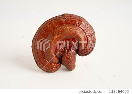 Lingzhi or Reishi mushroom with capsules, organic natural healthy food. 132364693