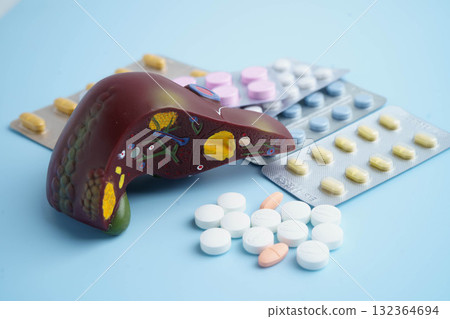 Liver model with pill drug treatment, Cirrhosis, Liver cancer, fatty liver. 132364694