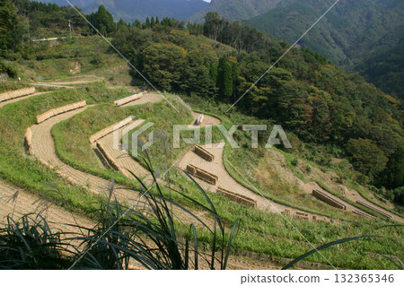 Rice terraces in the Takachiho and Sango areas Rice terraces in the Takachiho and Sango areas 132365346