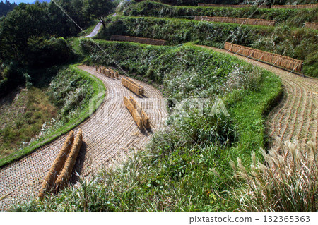 Rice terraces in the Takachiho and Sango areas 132365363