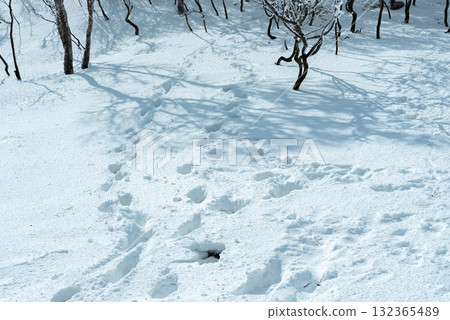 Snowy mountain trail 04 132365489