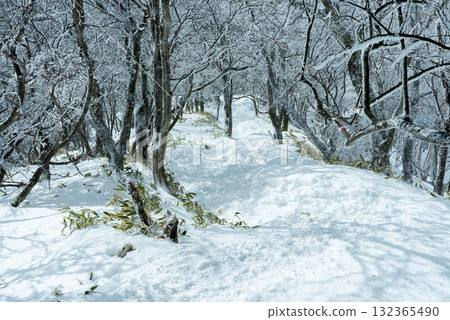 Snowy mountain trail 05 132365490