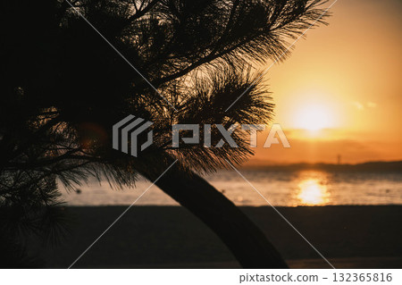 [Shibukawa Coast] A beautiful sunset and impressive coastal scenery 132365816