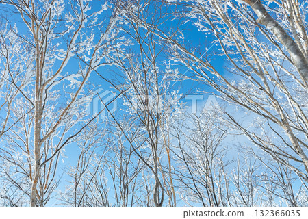 Snowy Clear Skies on Mount Akagi 27 132366035