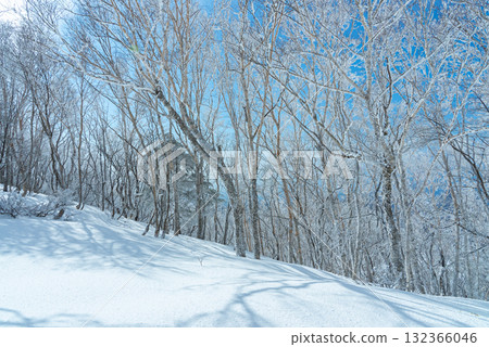 冬季的赤城山 07 132366046