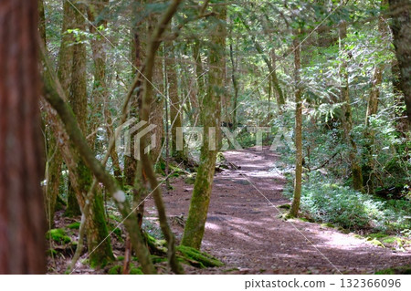 Jukai Promenade Entrance Jukai Promenade Entrance 132366096