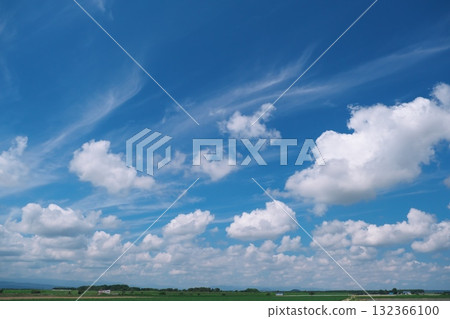 Cottony clouds floating in the summer sky 132366100