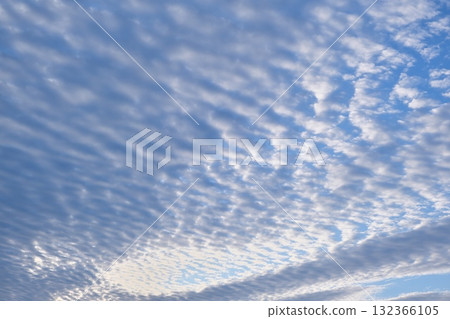 Sardine clouds in early autumn 132366105