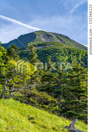 從杜鵑花岔路口眺望前廣岳和小廣岳。攀登南阿爾卑斯山的廣岳和兔岳。 從杜鵑花岔路口眺望前廣岳和小廣岳。攀登南阿爾卑斯山的廣岳和兔岳。 132366125