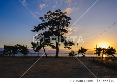 [Shibukawa Coast] A landscape bathed in the light of the setting sun 132366149