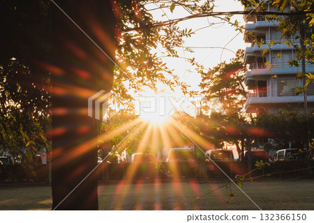 [Shibukawa Coast] A landscape bathed in the light of the setting sun 132366150