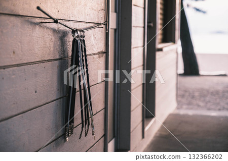 [Shibukawa Coast] Coastal scenery 132366202