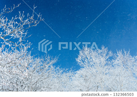 Snowy clear day on Mount Akagi 19 132366503