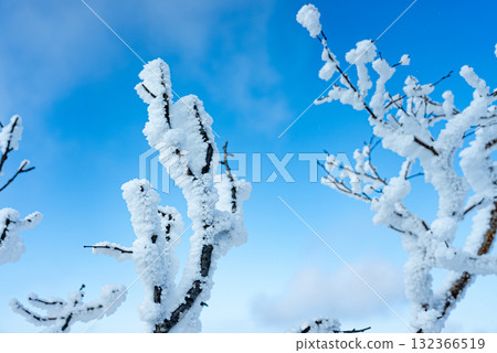 赤城山的冬霜 16 132366519