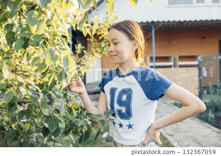 Asian Metis teen girl picking leaves from tree in backyard garden during sunny evening with curious expression near suburban house and green foliage, family lifestyle, gardening blog Asian Metis teen girl picking leaves from tree in backyard garden during sunny evening with curious expression near suburban house and green foliage, family lifestyle, gardening blog 132367059