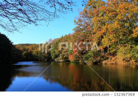 Colorful trees surrounding Lake Shinsei Colorful trees surrounding Lake Shinsei 132367369