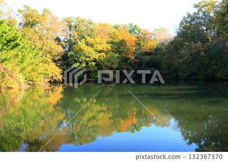 Colorful trees surrounding Lake Shinsei Colorful trees surrounding Lake Shinsei 132367370