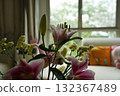 oriental hybrid lilies bloom with pink petals and sweet fragrance 132367489