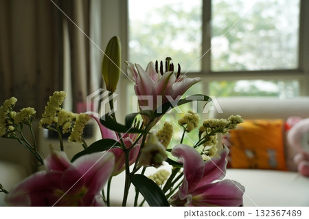 oriental hybrid lilies bloom with pink petals and sweet fragrance oriental hybrid lilies bloom with pink petals and sweet fragrance 132367489