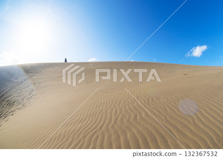 Wind pattern (Tottori dune) Wind pattern (Tottori dune) 132367532