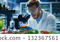 Scientist analyzing a lab food science with microscope.in laboratory. 132367561