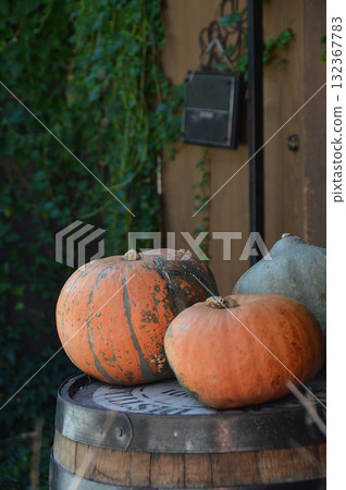 Halloween pumpkins / Orange Halloween pumpkins displayed at the entrance Halloween pumpkins / Orange Halloween pumpkins displayed at the entrance 132367783