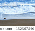 海岸線和海灘 132367840
