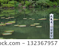 Oki Lotus Pond, Beppu, Oita Oki Lotus Pond, Beppu, Oita 132367957