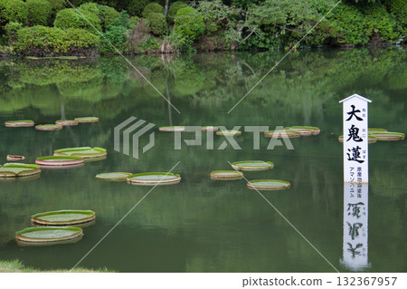 大分縣別府市隱岐蓮花池 132367957
