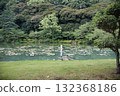 Lotus flower pond, Beppu, Oita Lotus flower pond, Beppu, Oita 132368186