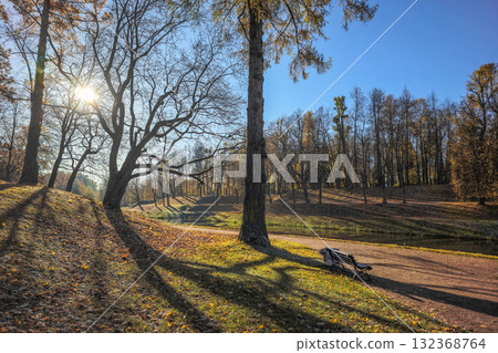 Autumn park alley on sunny day. Autumn park alley on sunny day. 132368764
