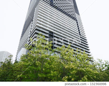 Cityscape with tower apartments | Toyosu 132368996
