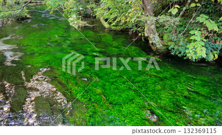 Autumn in the Northern Alps: Clear Streams of Kamikochi Autumn in the Northern Alps: Clear Streams of Kamikochi 132369115