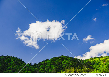 藍天和新綠色 藍天和新綠色 132369271