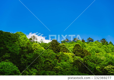 新鮮的綠色山和藍天 新鮮的綠色山和藍天 132369277