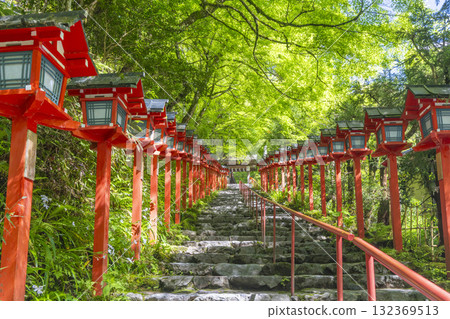 Kifune Shrine in the midst of fresh greenery: Vermilion lanterns and stone steps Kifune Shrine in the midst of fresh greenery: Vermilion lanterns and stone steps 132369513
