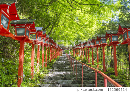 鮮綠的貴船神社、朱紅色的燈籠和石階 鮮綠的貴船神社、朱紅色的燈籠和石階 132369514