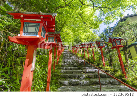 Kifune Shrine in the midst of fresh greenery: Vermilion lanterns and stone steps 132369518