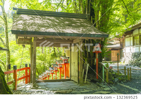 Fresh greenery at Kifune Shrine: Vermilion lanterns and stone steps seen from the inner gate 132369525