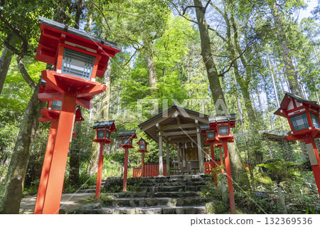 Fresh greenery in Kyoto - Kifune Shrine Association (Chūgū) Main Hall 132369536