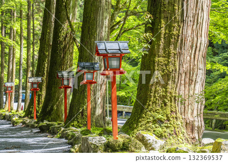 Kifune Shrine: The approach to the inner shrine surrounded by fresh greenery Kifune Shrine: The approach to the inner shrine surrounded by fresh greenery 132369537