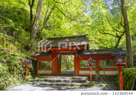 Kifune Shrine Okumiya Shrine Gate The grounds are surrounded by fresh greenery 132369544