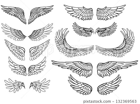 Vector set of outline clip arts of bird wings. Collection of outline angel wings isolated on the background. Vector set of outline clip arts of bird wings. Collection of outline angel wings isolated on the background. 132369563