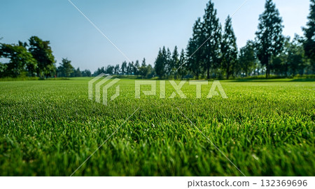 Wide golf fairway background lush grass under sunlight clear sky 132369696